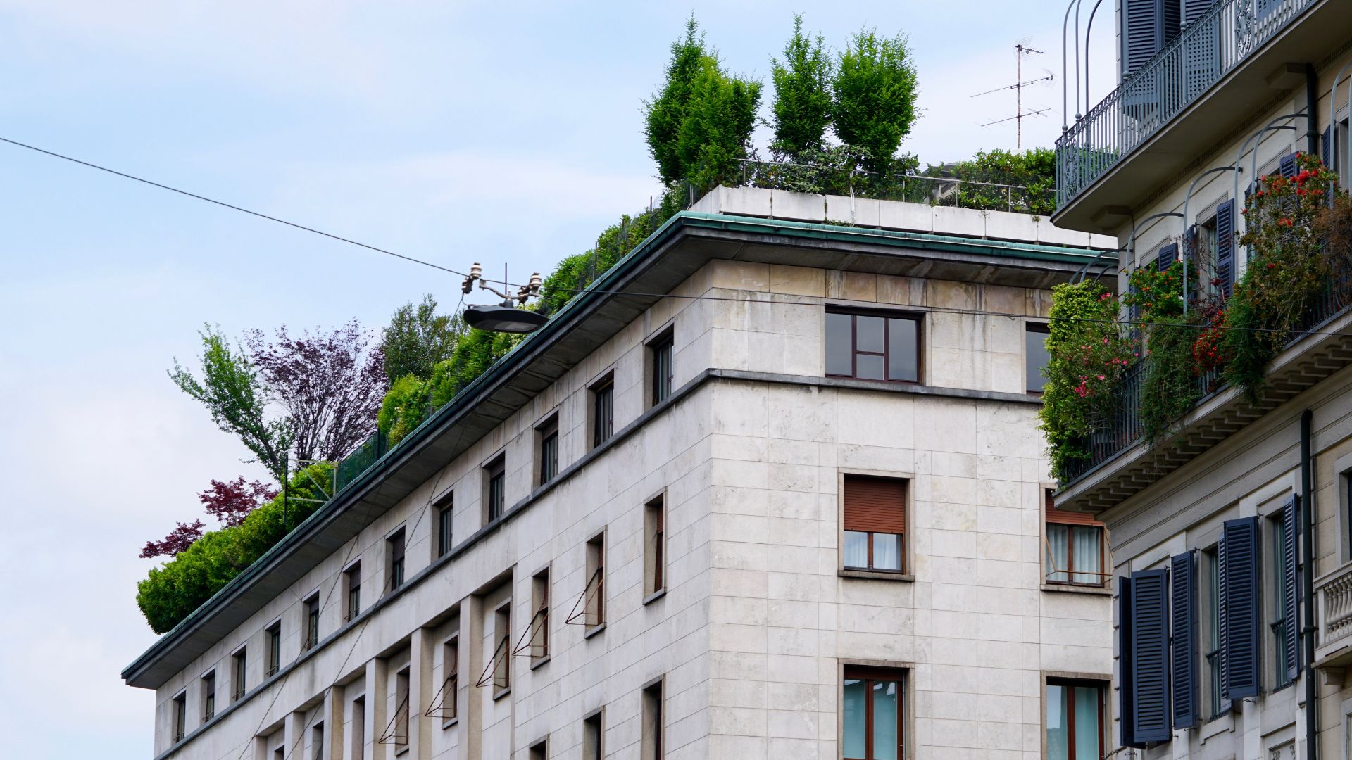 Casa sustentável: telhado verde
